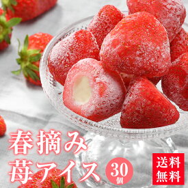 春摘み苺アイス×30個入り苺アイス　24個まで1配送でお届けクール［冷凍］便でお届け北海道・沖縄・離島は送料無料の対象外【送料無料】【3〜4営業日以内に出荷】