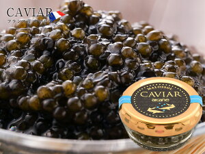 yztXYLrA18gm①ny3`4cƓȓɏoׁz