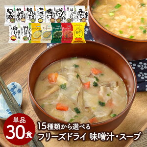 s15ޑIItX` X[v Pi 30HZbg t[YhC m{퉷/Sxщnyz y4`5cƓȓɏoׁz RXXHi X` ݂` CX^g  