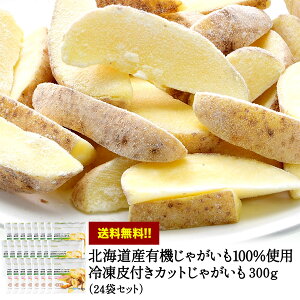 kCY L@Ⴊ 100gp Ⓚt Jbg Ⴊ 7.2kg (300g×24) yzmⓀ̂݁nI[KjbN L@ Y kC |eg y1`2cƓȓɏoׁzmܖF2025