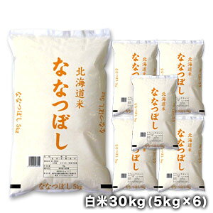 mߘa6NYn kCY ȂȂڂ  30kg (5kg×6)30kg1zł͂miƓsnyzy1`2cƓȓɏoׁz