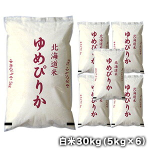 mߘa7NYn V kCY ߂҂肩  30kg (5kg×6)30kg1zł͂miƓsnyzy1`2cƓȓɏoׁz