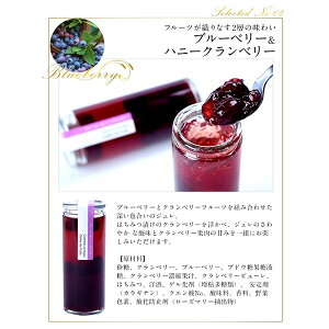 ジュレドフリュイ［常温］【予約販売】【送料無料】