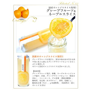 ジュレドフリュイ［常温］【予約販売】【送料無料】