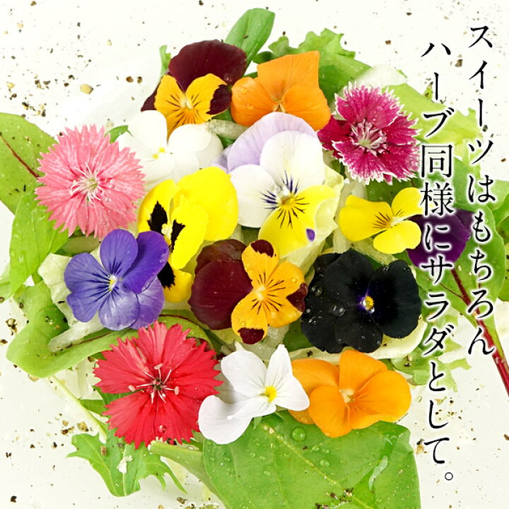 市場 エディブルフラワー 24 30程度の食用花 食用花 愛知県産 約100g 入れ物含 エディブル