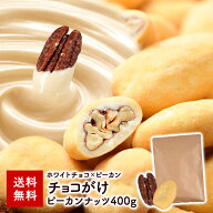 大容量 ホワイトデー ピーカンナッツ チョコ 400g 【送料無料】［メール便］【2～3営業日以内に出荷】 ナ…