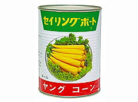 楽天市場 ヤングコーン 缶の通販