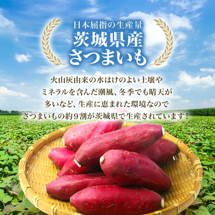 楽天市場】《お徳用900g！》 茨城県産 紅はるか 干し芋 900g 訳あり 