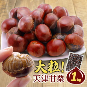 VÊÌI ĂI 1kgyzm퉷/Sxщnm\̔F1212`1216̊Ԃɏoׁn܂ 1ܖ e Ăグ I  } V ÌI ܂ ĂI ČI kt 