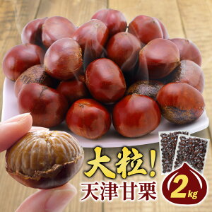 VÊÌI ĂI 2kg (1kg×2) yzm퉷/Sxщnm\̔F1212`1216̊Ԃɏoׁne Ăグ I  } V ÌI ܂ ĂI ČI kt t