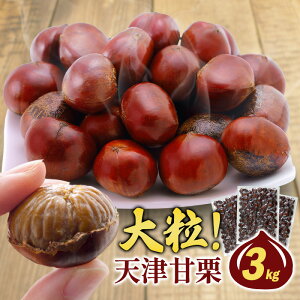 VÊÌI ĂI 3kg (1kg×3) yzm퉷/Sxщnm\̔F1212`1216̊Ԃɏoׁne Ăグ I  } V ÌI ܂ ĂI ČI kt t