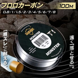 フロロカーボンライン リーダー ライン ハリス 100m 0.8号 1.0号 1.5号 2.0号 3.0号 4.0号 5.0号 6.0号 7.0号 8.0号 ショックリーダー 釣り糸 エギ ジギング シーバス 青物 ヒラメ 渓流 トラウト