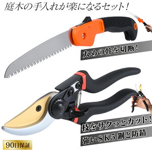 [ ΂ ̂ Zbg ] XpƐ؂ hKH A } ܂ oT~ ͂ p͂  ؂΂ A؂΂ ̂ ܍̂ ܍mRM ܍