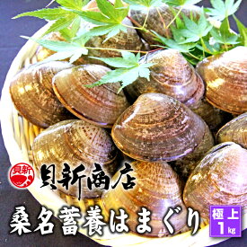 楽天市場 養殖 ハマグリの通販 楽天市場 養殖 ハマグリの通販
