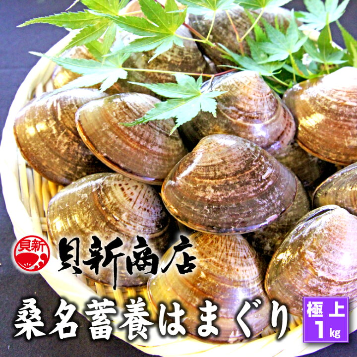 楽天市場 桑名蓄養 はまぐり １kg 極上サイズ 6cm以上 はまぐり ハマグリ 蛤 貝 バーベキュー しゃぶしゃぶ 鍋 貝新 貝新商店 楽天市場店