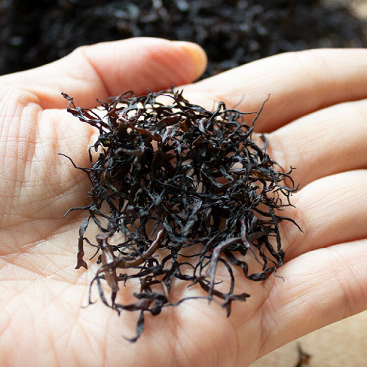 ふのり30g×5袋 国産 三重県 天然ふのり1等 フノリ 海藻 国内初の直営店