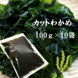 킩 Jbg킩 ؍Y 100g×10 킩 Ɩp