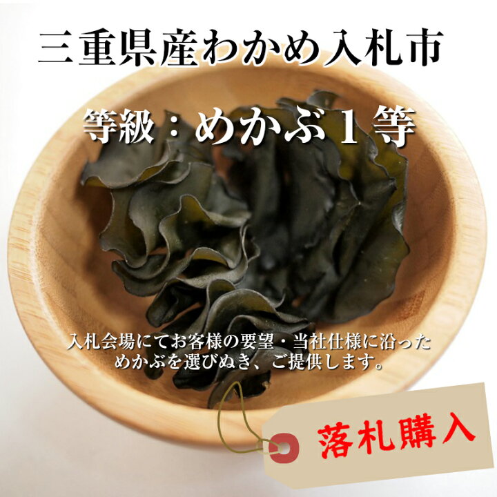 842円 販売 めかぶ 刻みめかぶ 韓国産 500g 国内選別加工品 乾燥 業務用 842円 販売 めかぶ 刻みめかぶ 韓国産 500g 国内選別加工品 乾燥 業務用