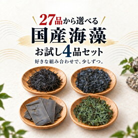＼27品から選べる／国産海藻お試し4品セット（同梱不可） 送料無料 ひじき あおさ 寒天 わかめ めかぶ ふのり 昆布 ワカメ お試し海藻 保存食