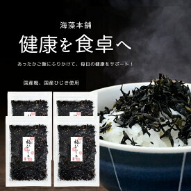ひじきふりかけ＼梅ひじき／240g(60g×4袋)【送料無料】(追跡可能メール便) 国内産ひじき使用 ふりかけ うめ カリカリ梅 ひじきごはん ご飯のお供 保存食
