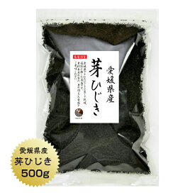 ひじき 愛媛県産 芽ひじき 500g 国産 愛媛県 産地から原料を買付け自社製造で仕上げた一品 業務用 保存食