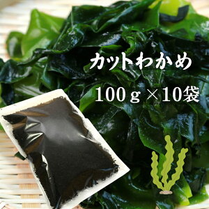 킩 Jbg킩 Y 100g×10 킩 J Ɩp