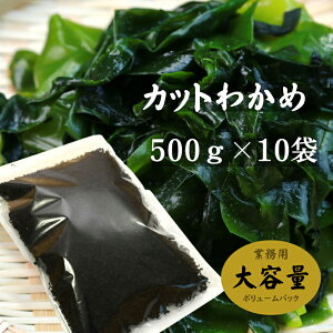 킩 Jbg킩 Y 500g×10 킩 J Ɩp
