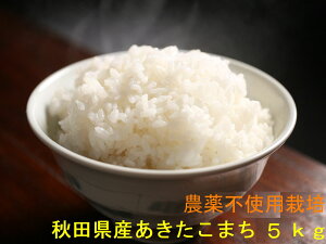 _   ߘa7NY HcY nō͔| SŔ܂5kg
