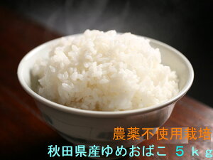 Vė\񖳔_   ߘa7NY HcY nō͔| W탂``߂΂5kg
