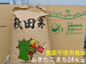 無農薬 玄米 送料無料 令和5年産 秋田県産 無洗米対応 地下水で栽培 安心で美味しいあきたこまち24kg×1袋