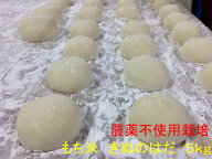 新米予約無農薬　玄米　令和8年産　　秋田県産　　地下水で栽培　　きぬのはだ　安心で美味しいもち米5kg