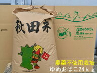 無農薬 玄米 送料無料 令和7年産 秋田県産 無洗米対応 地下水で栽培 淡麗もちもちゆめおばこ24kg×1袋