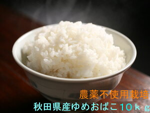 Vė\񖳔_   ߘa7NY HcY nō͔| W탂``߂΂10kg