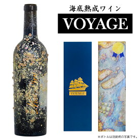 西伊豆海底熟成ワインVOYAGE【シャトー・モン・ペラ 白】 2020年 白ワイン フランス/ボルドー ソーヴィニヨン・ブラン セミヨン 750ml 1本 海底 熟成 ワイン ギフト プレゼント 贈り物 海底ワイン 伊豆 熟成ワイン