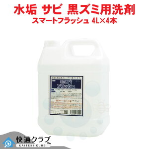 ^C   X}[gtbV 4L×4{ Ɩp gC̏ ֊̐ yz