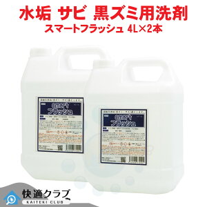 ^C   X}[gtbV 4L×2{ Ɩp gC̏ ֊̐ yz