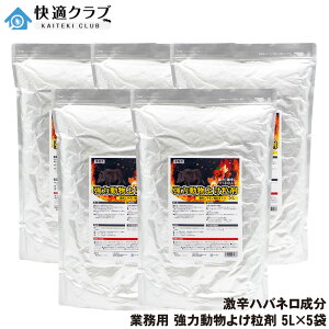 Ɩp ͓悯 5L×5  悯 hnolǉ͊