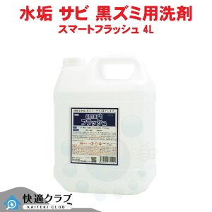 ^C   X}[gtbV 4L Ɩp gC̏ ֊̐ yz