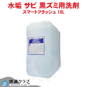 ^C   X}[gtbV 10L Ɩp gC̏ ֊̐ yz