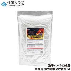 Ɩp ͓悯 5L  悯 hnolǉ͊