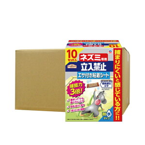 lY~߂ A[XK[f lY~p֎~ GTtSV[g 10Zbg×6 ˂ l A[X