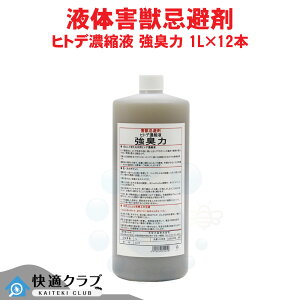 qgf  Qb qgfZkt L 1L×12{  T ގ X  Q CmVV L  P[X̔