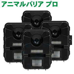 lR悯 g Aj}oAPRO 4Zbg ŏʃf Aj}oAv lR΍  h ˂悯 ǔL  K[fQ A ԏ K[W  
