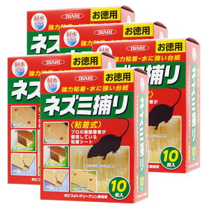 lY~SV[g ɂ悢`[N Ɩp 10×5 ϐ CJ