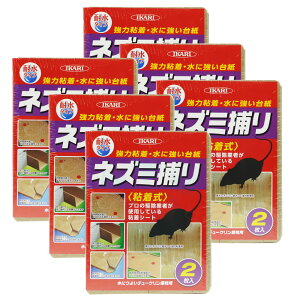 lY~SV[g ɂ悢`[NƖp 2×6 ϐ CJ