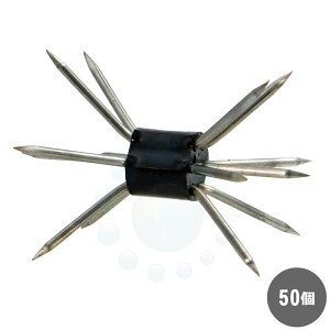 �l�Y�~�悯 �l�Y�~������Z 50�� �܂��т� ��������ǂ�����