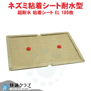 ϐ SV[g EL 100 Ɩp SlY~߂ SV[g Sgbv ubN^