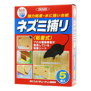 lY~SV[g ɂ悢`[NƖp 5 ϐ CJ