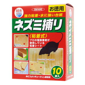 lY~SV[g ɂ悢`[N Ɩp 10 ϐ CJ