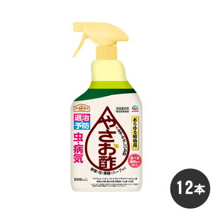 A[XK[f ₳| 1000ml×12{ |p|  n[u ʎ  H| P[X̔